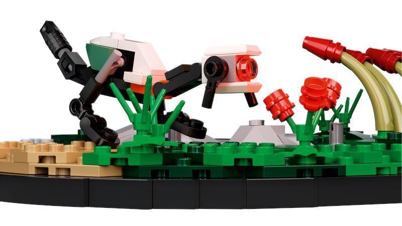 Thumbnail 20